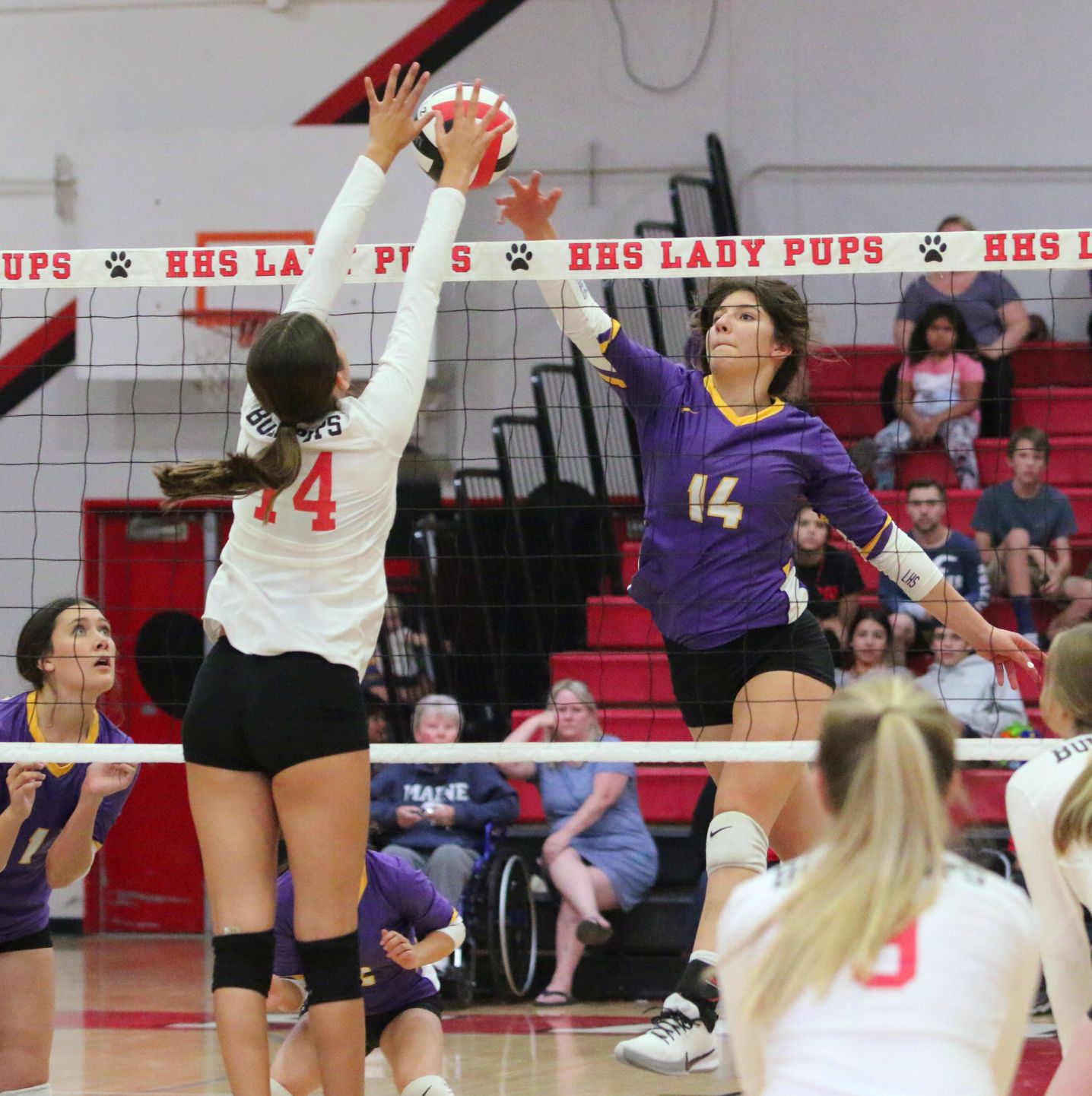 Bullpups claim victory over Tigers in thrilling season finale